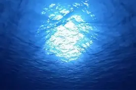 海底巨物之未解之谜：这些鱼究竟是传说还是真实存在？图片