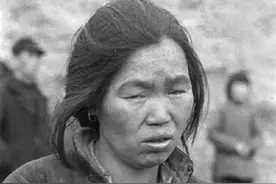 河南四害，水旱蝗汤，大饥荒中的汤恩伯到底有多狠？图片