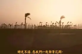 时光不语·静待花开——致家长的一封信图片