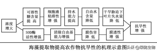 鍔熻兘寮哄ぇ鐨勬捣钘荤簿锛岀浉姣斾紶缁熻偉鏂欐湁杩欎簺浼樺娍锛侊紙浜岋級