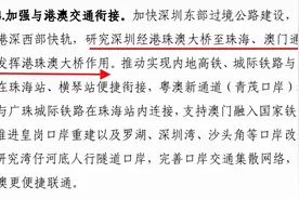 港珠澳大桥“单Y”变“双Y”，深珠通道，“新深中通道”都来了图片