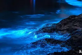 五一去平潭看“蓝眼泪”？教你个90%能看到蓝眼泪方法图片