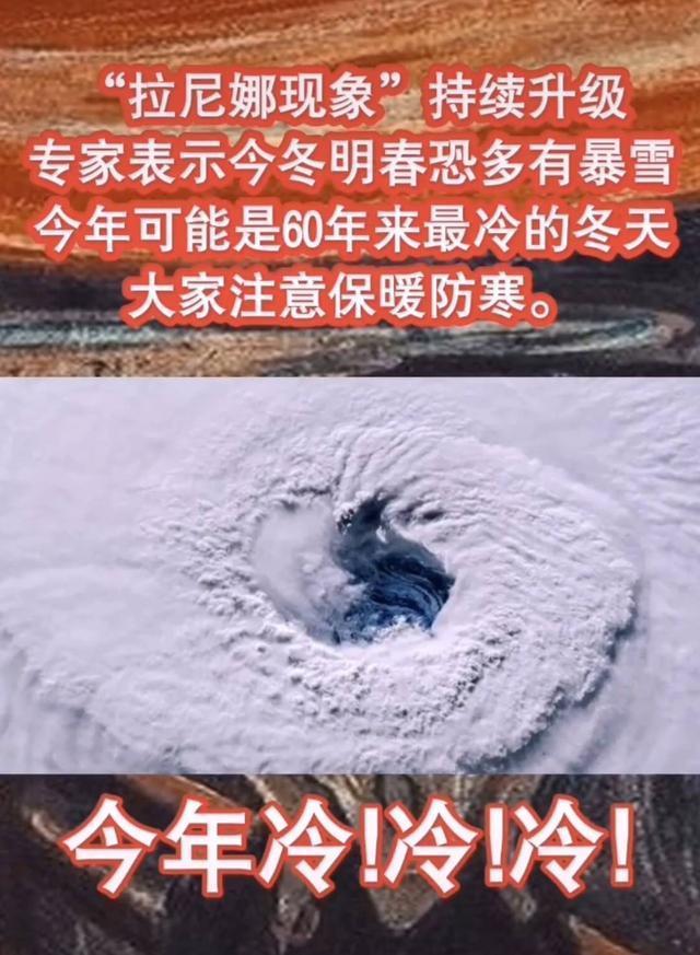 澳洲母牛开始吃蛇，专家称缺乏营养，是真的吗？这预示着什么？