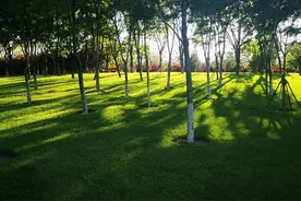 方言与古语图片