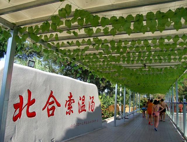 忻州市2020年招商引资项目——产业篇（三）