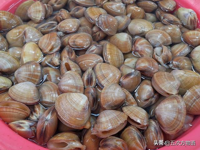 六耳赤嘴鱼胶有收藏价值吗 2026年六耳赤嘴鱼胶的功效和作用