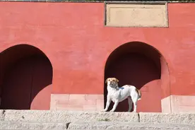北镇那点事儿，无非就是一座山，一座庙，一个牌坊两个塔图片