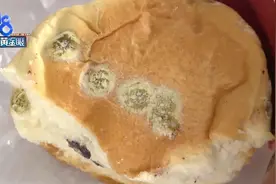 面包吃了三口，发现已经发霉？图片