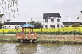 靖江东进村：红色引擎驱动绿色发展图片