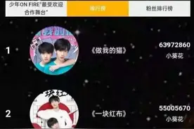 粉丝打投550万，所赢“奖品”近一年未兑现图片