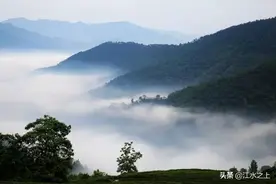 湖北7人通过专项被清北录取，黄冈3人荆州2人，恩施孝感各1人图片