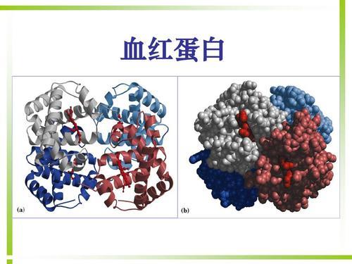 碳基生物是怎么回事？「高中生物讲解」1.2.4-1.2.5