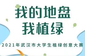 武汉高校“神仙打架”，因为这场植绿创意大赛图片