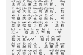 21款唐升级电动踏板+护板图片