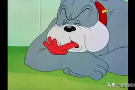 猫和老鼠，恶霸犬都快成精了，骨头舔着舔着丢了舌头都变成手了图片