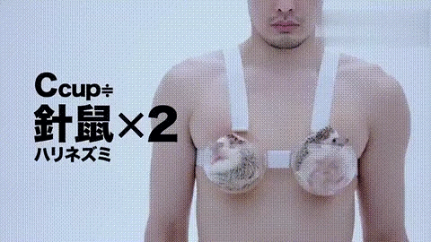身体乳密度比水大