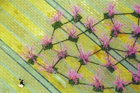 「高清多图」芜湖：五彩都市图片
