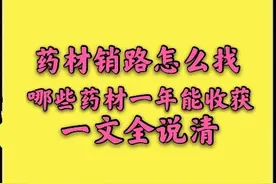 药材销路怎么找？那些药材亩收益过万且一年就能收获？一文说清图片