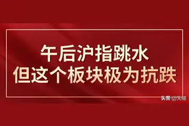 天檀 | 午后沪指跳水，但这个板块却极为抗跌图片
