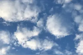 王婆卖瓜 互卖互夸图片
