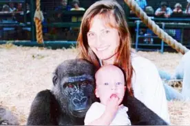 比利时女子声称爱上黑猩猩，人和猩猩在一起，到底能否生育后代？图片