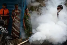 抗击新冠，一场追赶印度穷人的大屠杀图片