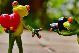 我终于明白这些组合的区别了图片