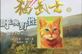 切勿轻敌！乱侃眼下很火的印度“喵武士”隐形无人机图片