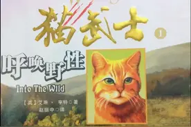 切勿轻敌！乱侃眼下很火的印度“喵武士”隐形无人机图片