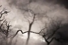 死了十年的姑姑突然出现在我梦中，让我明天看好我爸图片