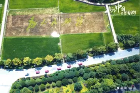 澎湃动力加持，国潮车队重走革命之路图片