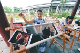 苏家屯区：担当作为 加速崛起踏征程图片