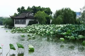 家乡美景-菱湖公园图片