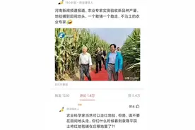 大V说：地毯铺到田间地头，一个敢铺一个敢走，不沾土的农业专家图片