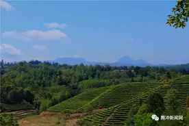 好一个清凉山！图片