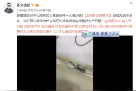 理想“水银门”车主再发声：官方交付中心刚拆的车主驾驶也有水银图片