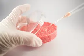 “人造肉”研究正疯狂，资本大力进入，肉类行业或颠覆，你会吃吗图片
