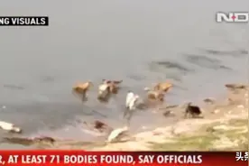 印度恒河流域现大量浮尸，疑似为新冠逝者的遗体，中央政府：禁止图片