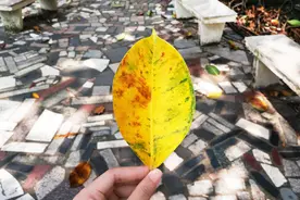 7个职场道理值得一看：能跟不喜欢的人共事，才是真正的本事图片