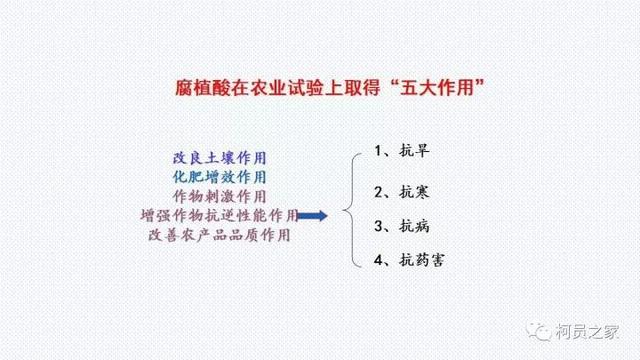 氨基酸、腐殖酸、黄腐酸都是什么东东？有啥用？