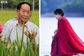 袁隆平 李子柒 为何一起上热搜？图片