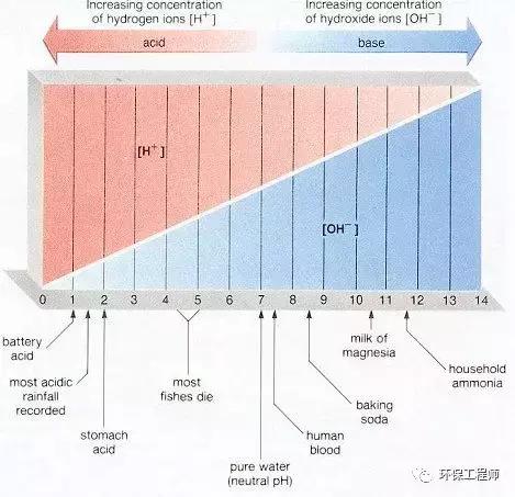 活性污泥为什么是带负电荷的？