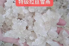 养颜大三宝销量冠军——桃胶，雪燕，皂角米图片