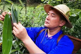 主播进大山寻找脱贫“答案”图片