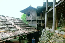 「连载」侗寨建筑（二）杉树的奉献图片