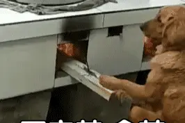 表情包：命苦（63）图片