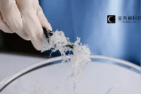 燕窝“罗生门”:谎言背后的暴利江湖图片