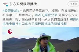 用作拴牛桩 砍伐国家二级珍贵树种被判刑！图片