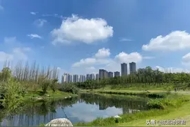 天府新区又一低地价盘要开了，刚需的福音？图片