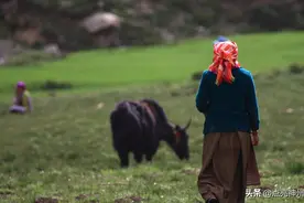 裙子？伞？还是帐篷？川藏线进藏，女人该怎么解决内急？图片